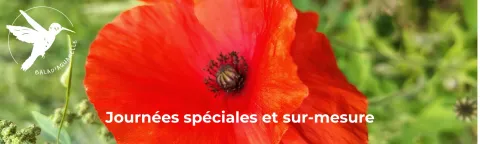 Journées spéciales et sur-mesure